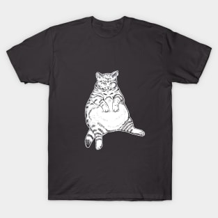 Don't Touch My Belly T-Shirt